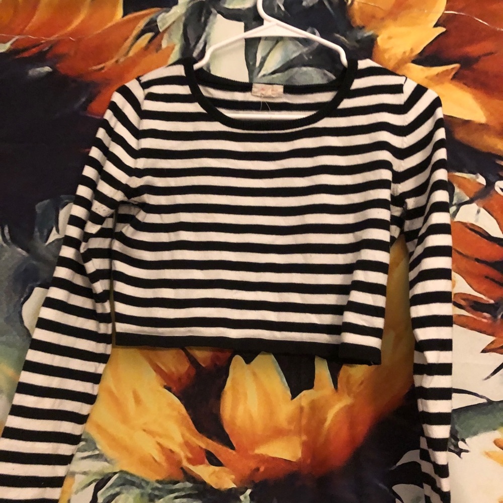 Striped long sleeve crop top